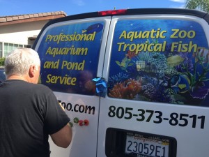 Aquatic Zoo Tropical Fish store back window and doors.