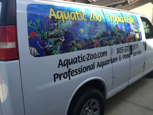 Aquatic Zoo Tropical Fish store passenger side